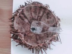 -海胆小馆(东北水饺·春柳店)