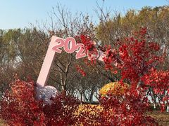 -阳澄湖半岛旅游度假区