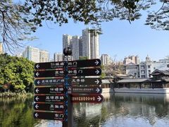 -荔湾湖公园