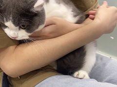 -爱洗澡的猫(天河路店)