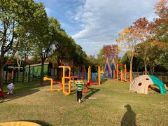 -上海海湾国家森林公园