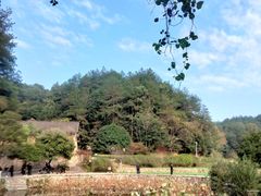 -韶山毛泽东同志故居