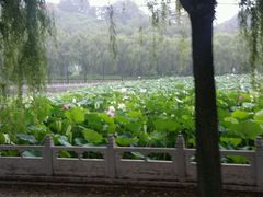 -南戴河国际娱乐中心