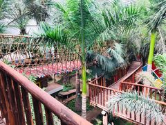 -呀路古热带植物园
