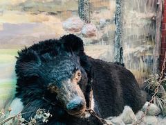 -北京动物园-畅观楼