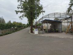 -前小桔亲子创意农场·草莓采摘·露营烧烤