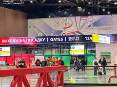 -谢列梅捷沃国际机场