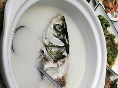 -紫藤园·天目湖大鱼头(南山竹海店)