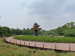 -西溪国家湿地公园