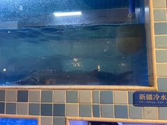 -大河宴椒麻鱼(嘉和园店)