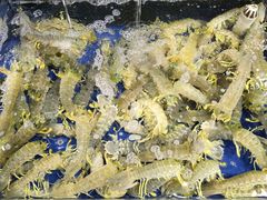 -东江海鲜酒家(艺都分店)