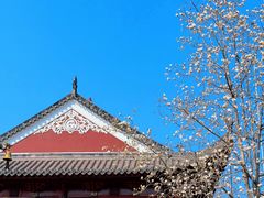 -长春观