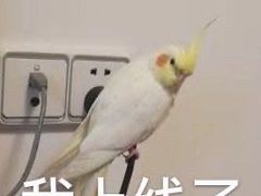 -SFC上影影城(港汇永华IMAX激光店)