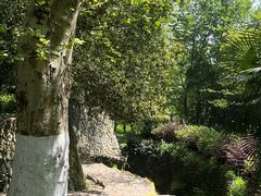 -莫干山风景区
