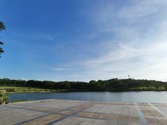 -东莞植物园