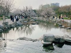-大望京公园