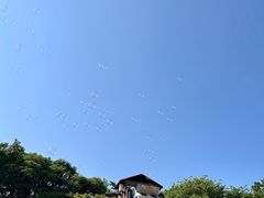 -济州森林小火车生态公园