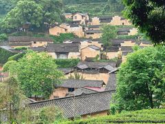 -杨家堂村