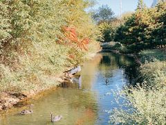 -长白岛森林公园