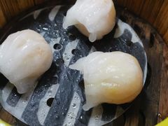 -肥佬夜茶(早茶·西乡店)