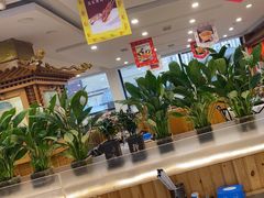 -大清花饺子(山庄店)