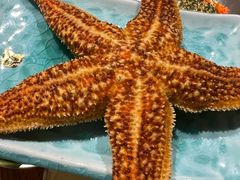 -哼蟹二将·烤肉酱蟹(合生汇店)