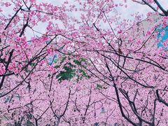 -静安雕塑公园