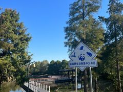 -同里国家湿地公园