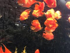 -弘安丽水温泉酒店