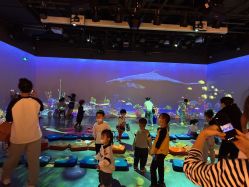 -小鸡哆哆故事屋·儿童乐园(嘉里城店)