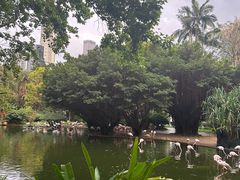 -九龙公园