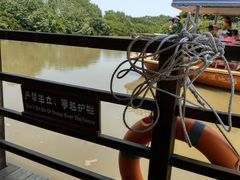 -大湾区中央湿地公园