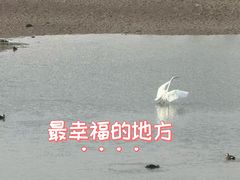 -青岛海泉湾度假区温泉