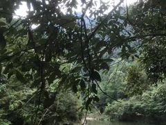 -楠溪江风景名胜区