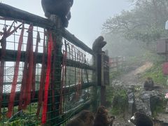 -峨眉山风景名胜区