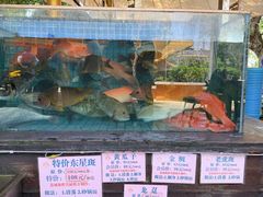 -荔城生鲜盛宴(番禺旗舰店)