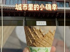 -莲宗寺