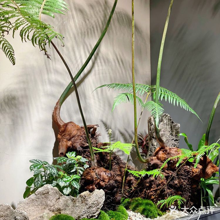 深圳探店|茄子恰恰·云南下饭菜
