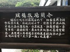 -瑞穗牧场
