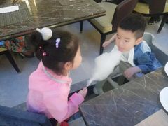 -漢咖啡·全服务式自助晚餐(武汉洲际酒店)