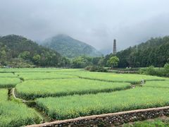 -天台山景区