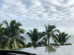 -元素中餐厅.海南菜.粤菜.椰子鸡.海鲜.包房.石梅湾威斯汀度假酒店