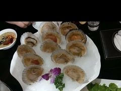扇贝-红菇坊鲜汤火锅(北站店)