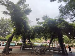 -大连植物园