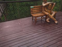 -黄海国家森林公园