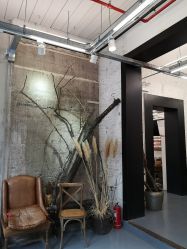 -Hair Co.一间沙龙