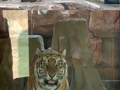 -鄂尔多斯野生动物园