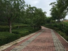 -北京张裕爱斐堡酒庄