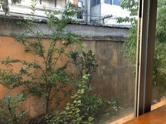 -吴家馄饨