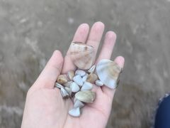 -六鳌翡翠湾滨海度假景区